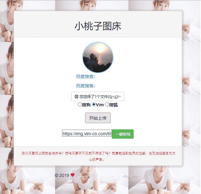 聚合图床程序源码 支持搜狗搜狐Vim图-酷库源码网